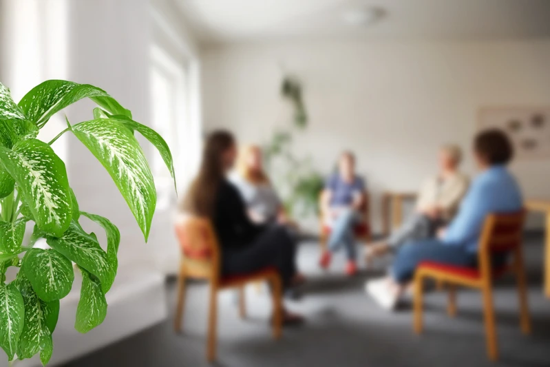 Es gibt Angebote für Angehörige - lassen Sie sich unterstützen!