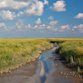 Moin Lieblingsland - Nordfriesland