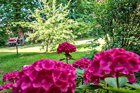 b_DSC00062