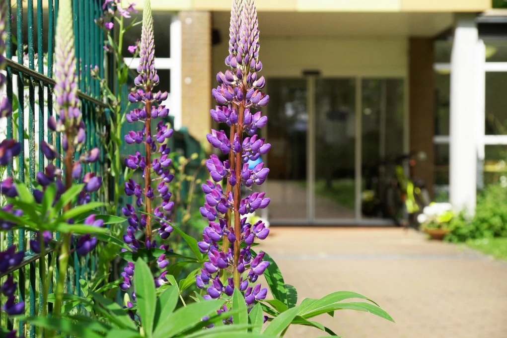 a_DSC01830
