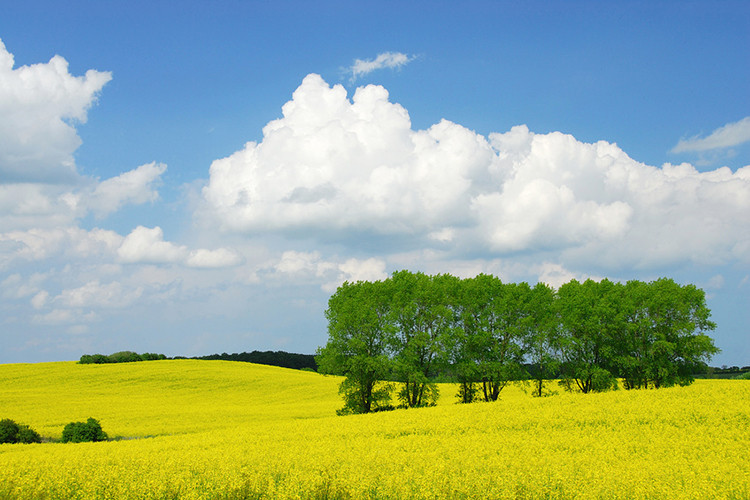 Fotolia_14193285_S_web